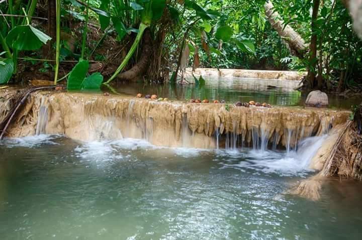 Baan Suan Tondin Hotell Satun Exteriör bild